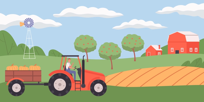 Flat agriculture background with farmer driving trailer and carrying harvested pumpkins in trailer vector illustration