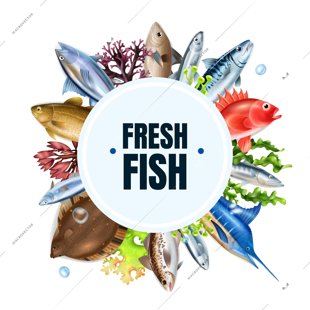 Sea fish realistic round composition with different types symbols vector illustration