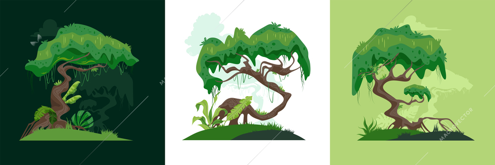 3 jungle landscapes with night morning and day tropical trees and plants flat vector illustration