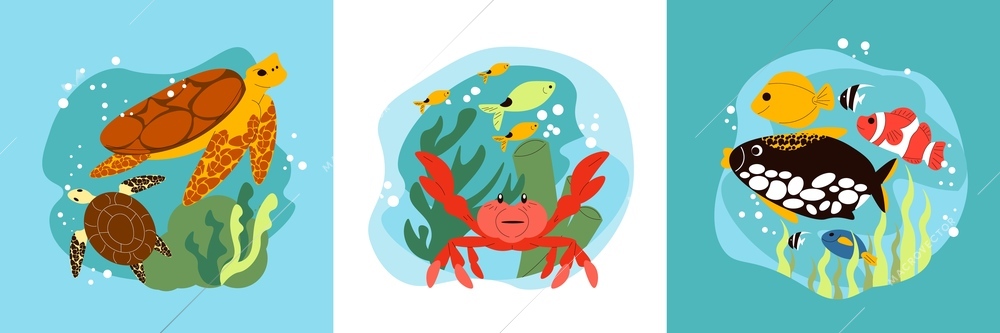 Aquarium flat design concept with sea and ocean creatures under water isolated vector illustration