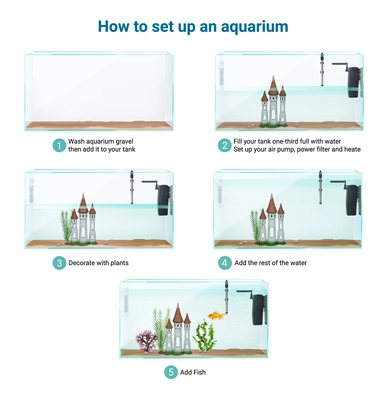 Fish tank aquarium setup realistic infographic guide steps cleaning adding gravel water air pump filter fish vector illustration