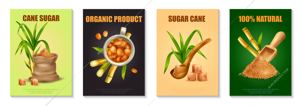 Sugar cane realistic poster set with organic production symbols isolated vector illustration