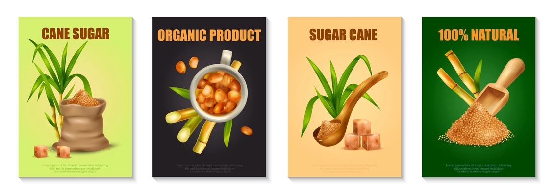 Sugar cane realistic poster set with organic production symbols isolated vector illustration