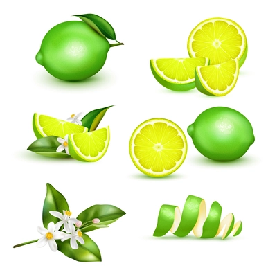 Citrus lemon lime whole half quarter slice spiral peel leaves twig blossom realistic set isolated vector illustration