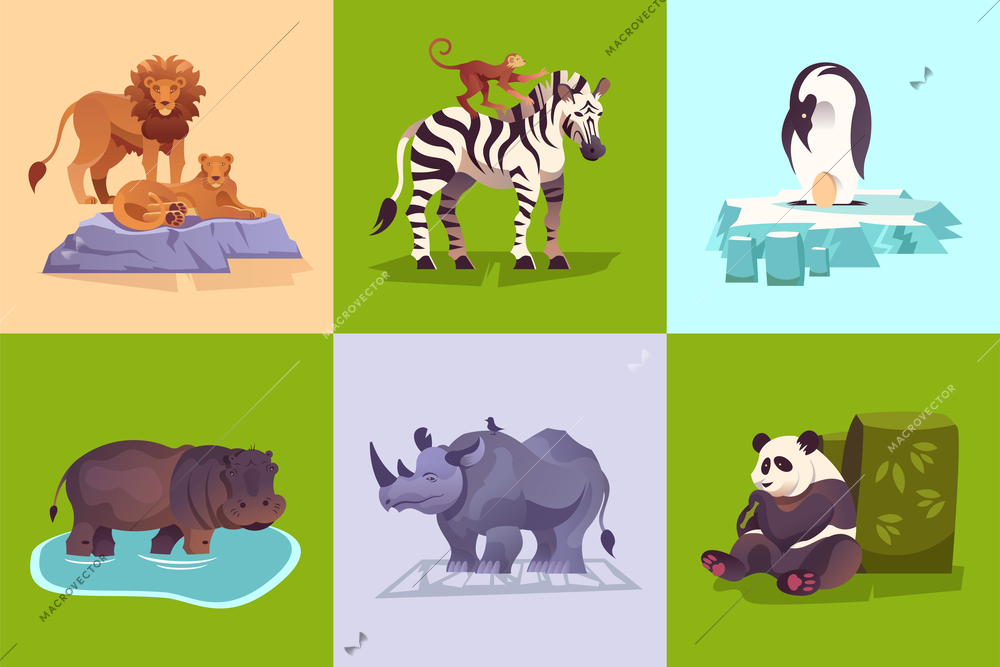 Zoo wild animals concept with penguin lion zebra rhinoceros panda hippo monkey colorful background set vector illustration