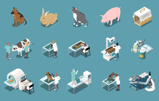 Veterinary clinic mri xray examination dogs livestock cow checkup pets vaccination cats carrier isometric set vector illustration