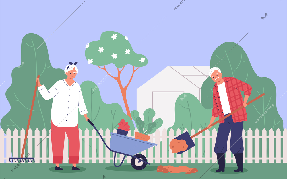 Couple of elderly people working in garden with shovel rake and wheelbarrow flat vector illustration