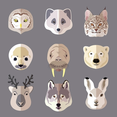 Northern animal and bird portrait flat icons set with owl arctic fox lynx isolated vector illustration.