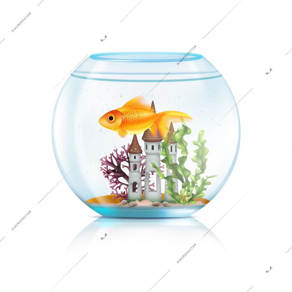 Glass acrylic aquarium round fish bowl with decorative castle aquatic plants big goldfish realistic composition vector illustration