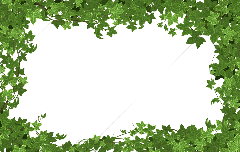 Ivy climbing plant frame composition with rectangular illustration and empty space surrounded by branches and leaves vector illustration