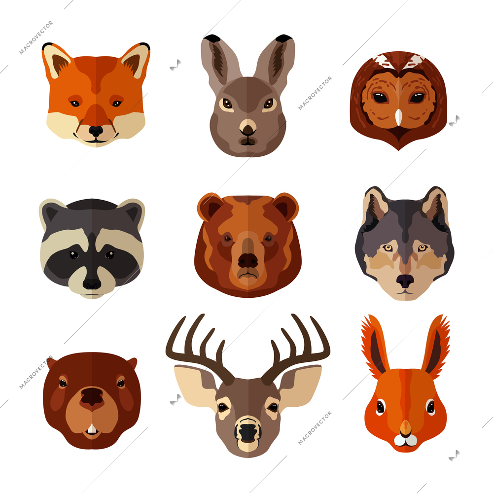 Forest animal portrait flat icons set with fox hare owl isolated vector illustration