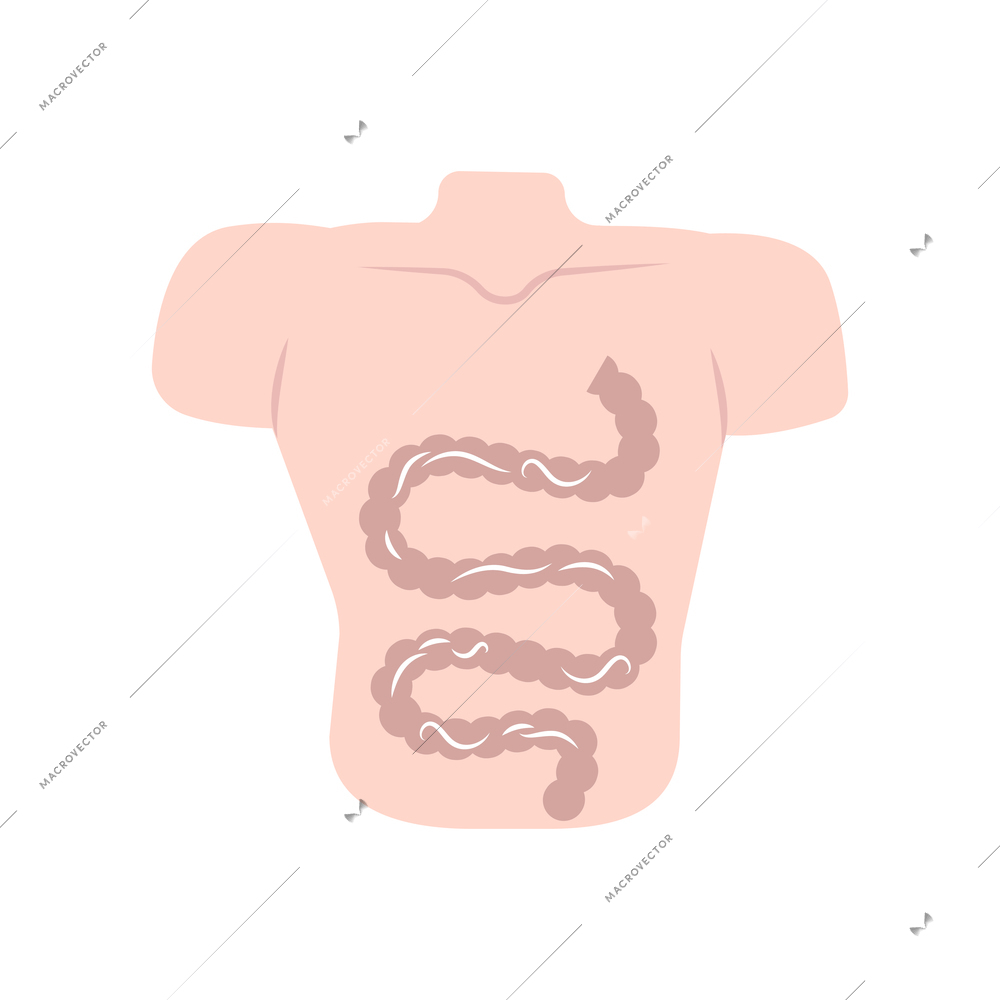 Flat icon with helminths in human intestine vector illustration