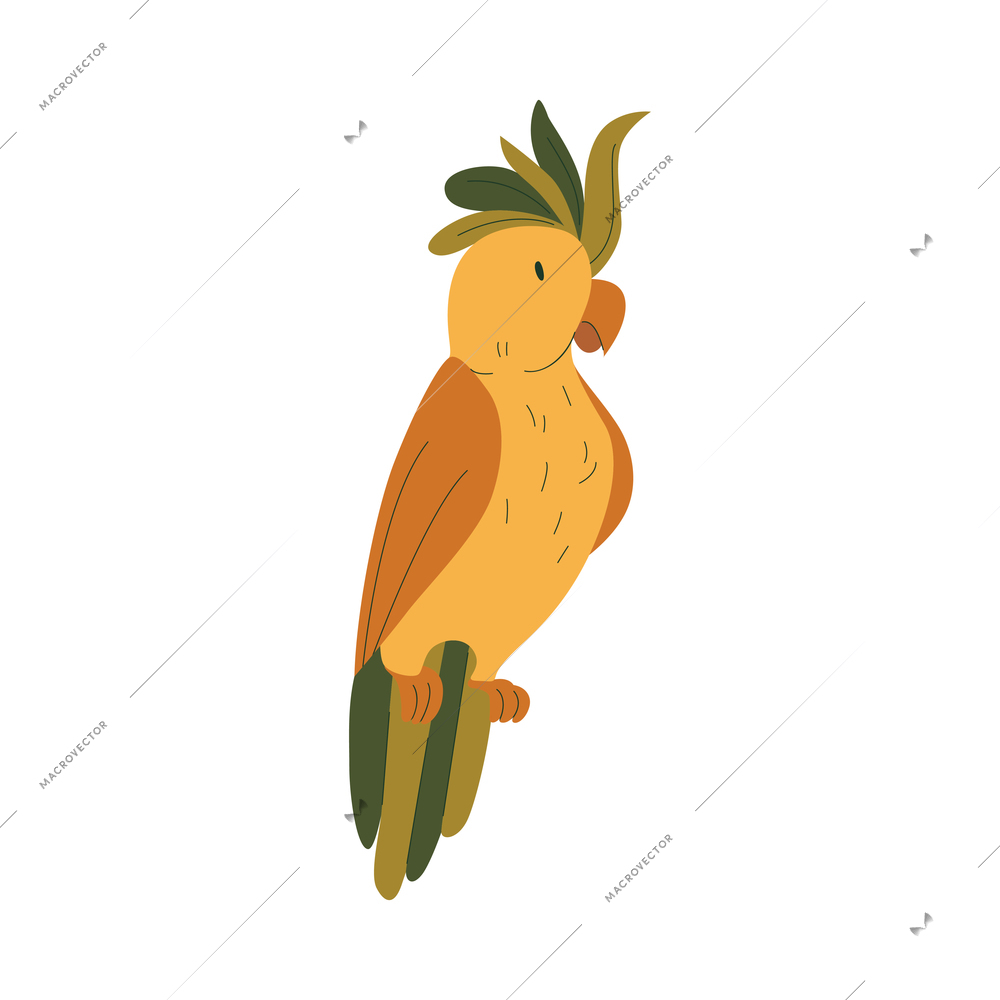 Cute colored parrot on white background flat vector illustration