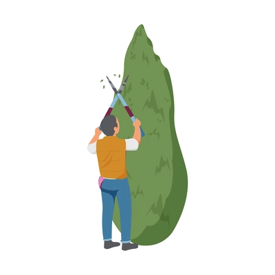 Gardening flat icon with man trimming green tree with hedge clippers vector illustration