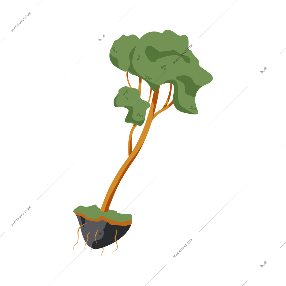 Flat green tree seedling on white background vector illustration