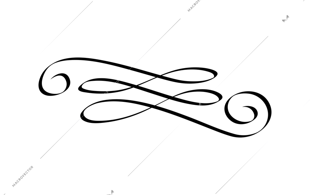 Calligraphic decorative swirl vintage vector illustration