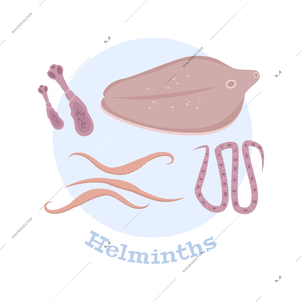 Helminths flat composition with various kinds of parasitic intestinal worms vector illustration