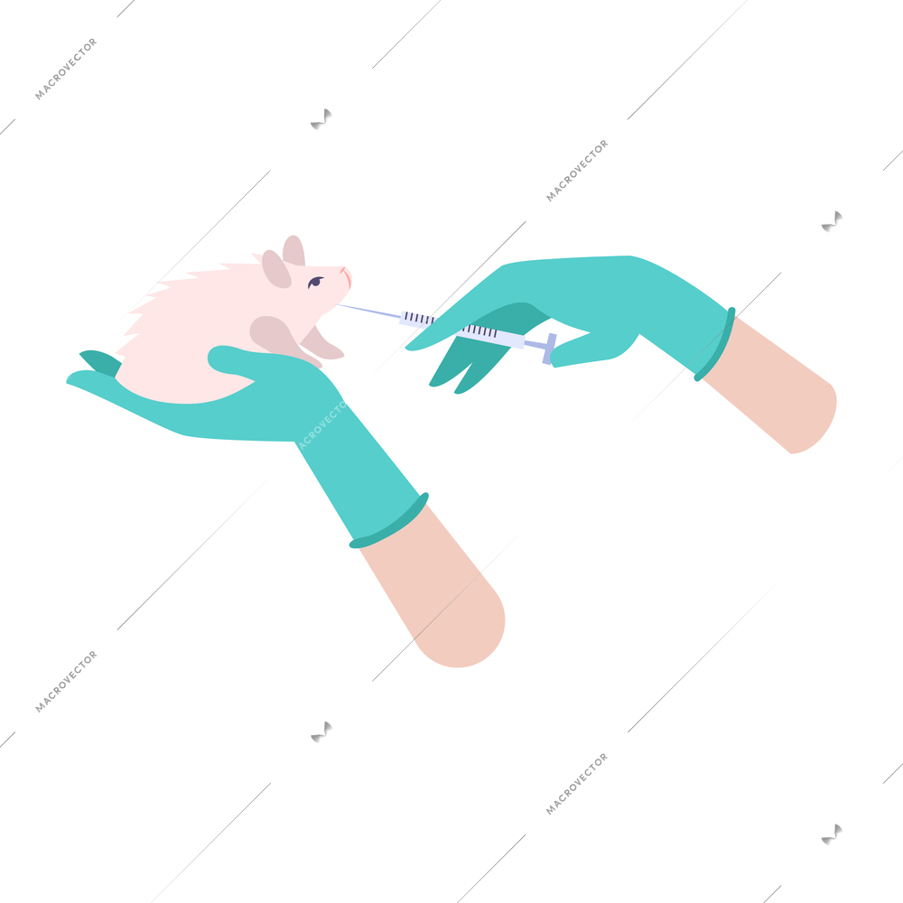 Animal testing flat icon with human hands giving injection to rodent vector illustration