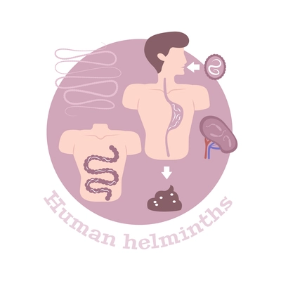 Helminths composition with infected human organs and parasites flat vector illustration