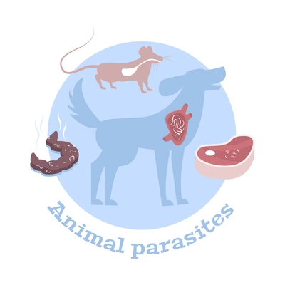 Helminths flat composition with parasites in animal organs raw meat feces vector illustration