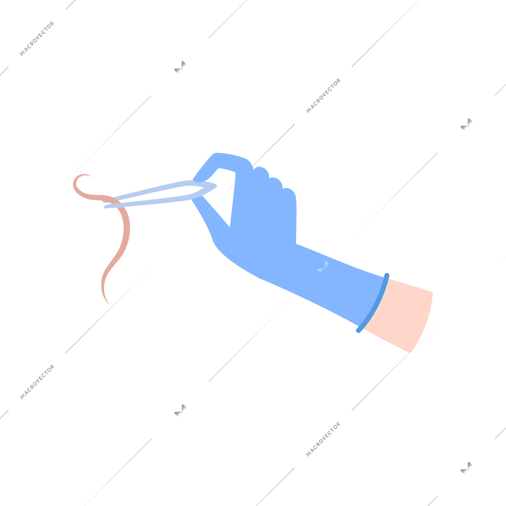 Human hand in glove holding tweezers with helminth flat icon vector illustration