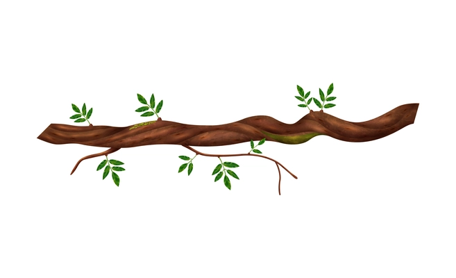 Realistic twisted jungle vine plant with green leaves vector illustration
