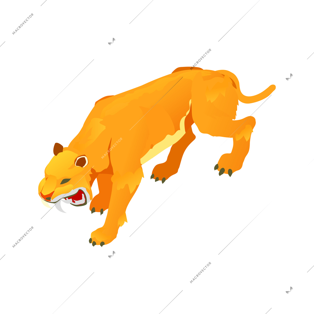 Isometric icon with roaring ancient sabre toothed tiger vector illustration