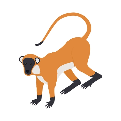Isometric brown monkey on white background 3d vector illustration