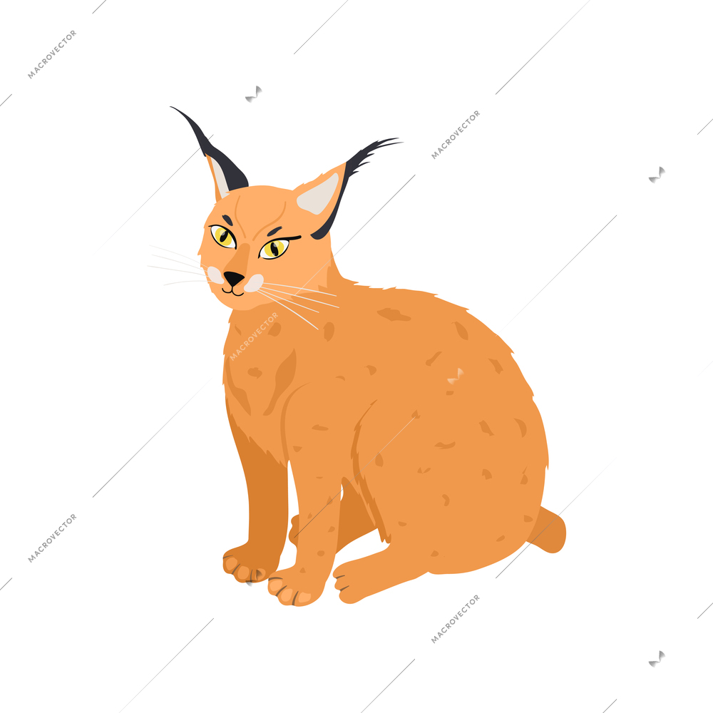 Cute sitting wild lynx isometric vector illustration