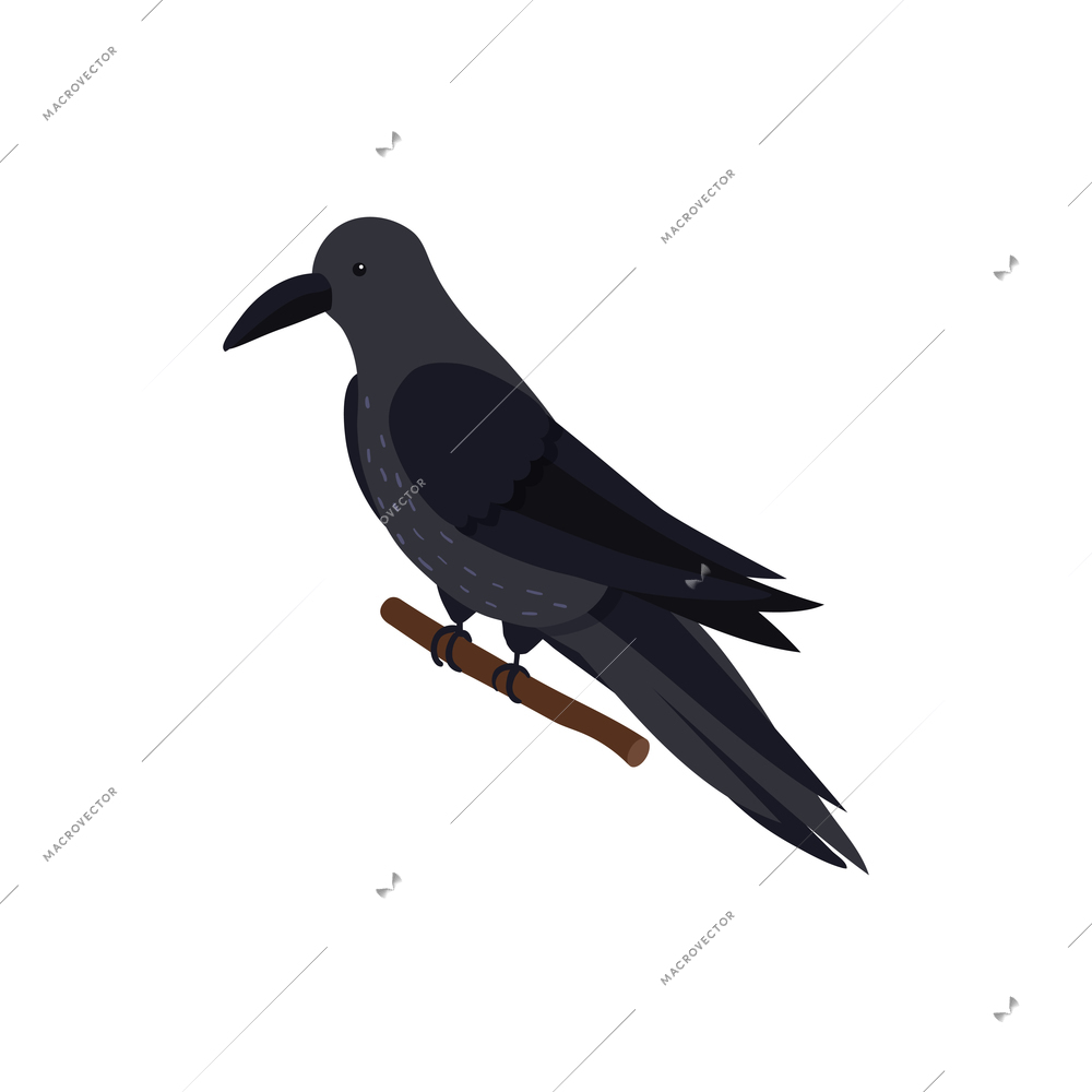 Black bird on white background isometric icon vector illustration
