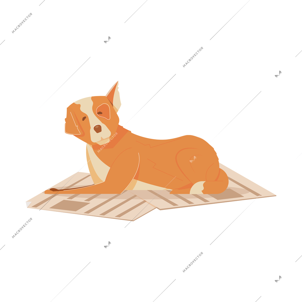 Flat cute homeless dog lying on pieces of cardboard vector illustration