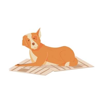 Flat cute homeless dog lying on pieces of cardboard vector illustration