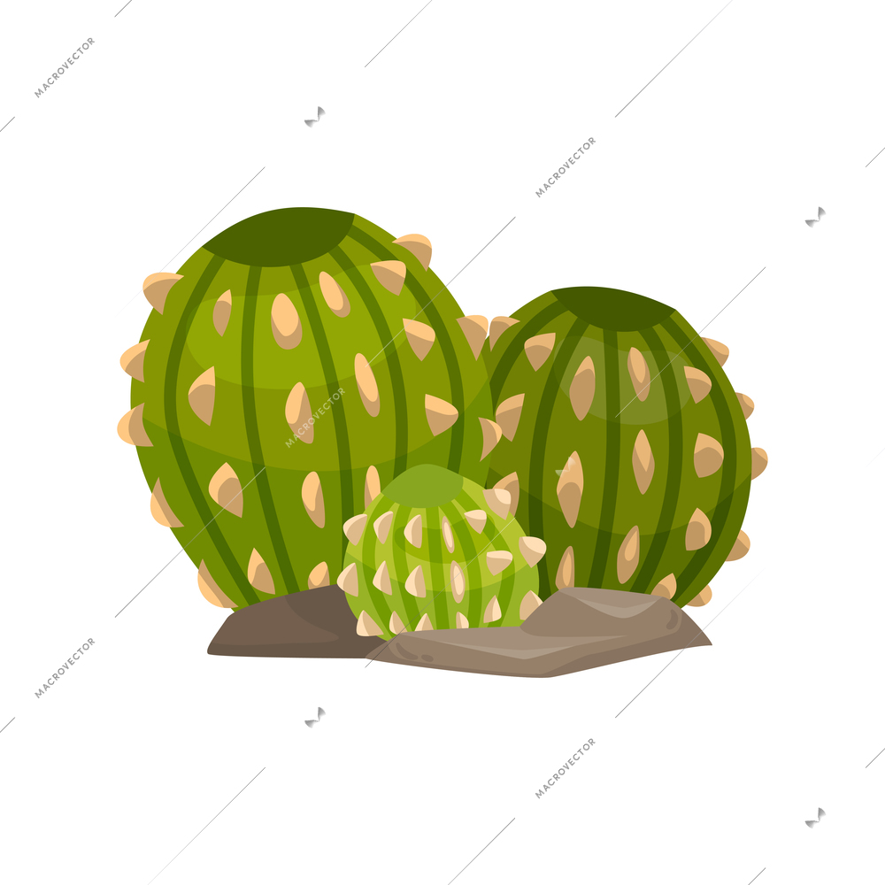 Three grown cacti of different size for game user interface cartoon vector illustration