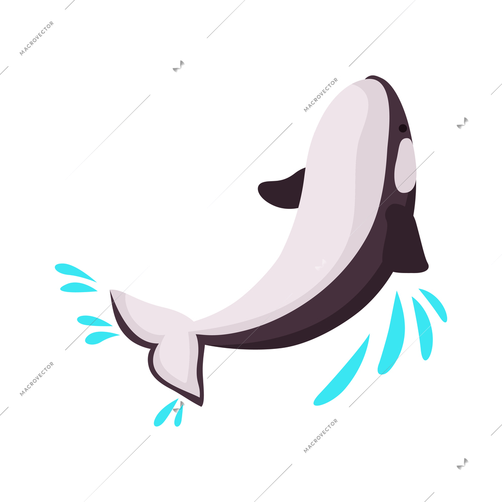 Isometric icon with orca performing in dolphinarium 3d vector illustration