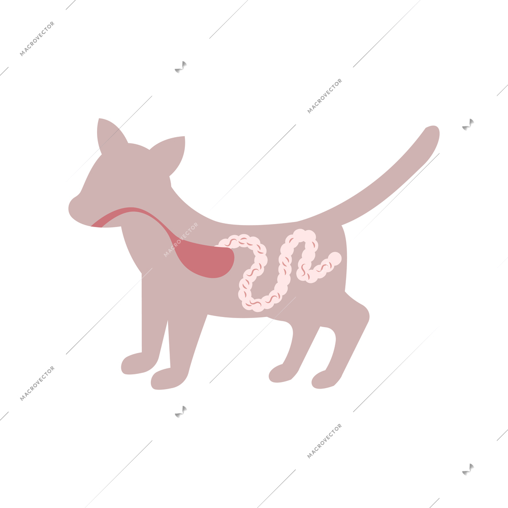 Flat icon with helminths in cats intestine vector illustration