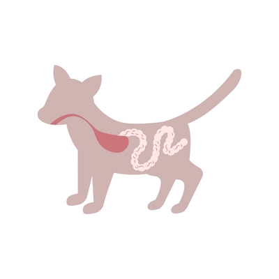 Flat icon with helminths in cats intestine vector illustration