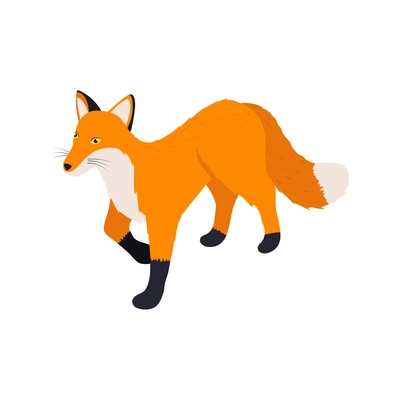 Isometric color icon with 3d fox on white background vector illustration