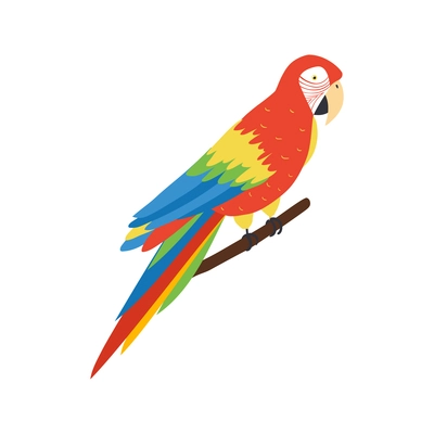 Beautiful colorful macaw parrot sitting on tree branch 3d isometric vector illustration