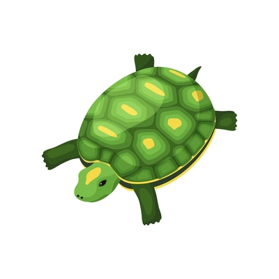 Green turtle on white background isometric vector illustration