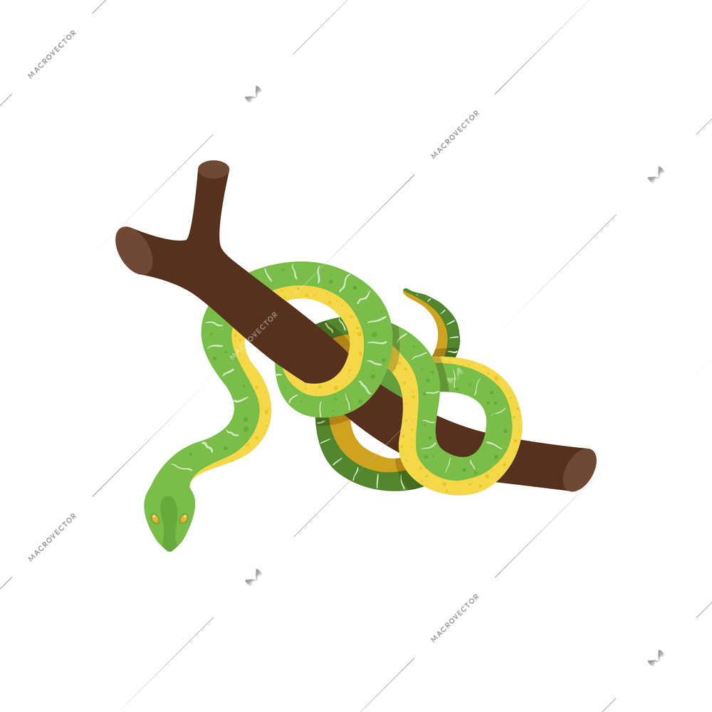 Green and yellow snake on tree branch 3d isometric vector illustration