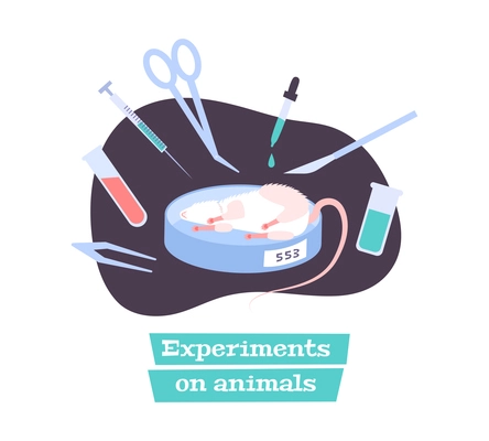Animal testing experimenent flat composition with white mouse and laboratory tools vector illustration