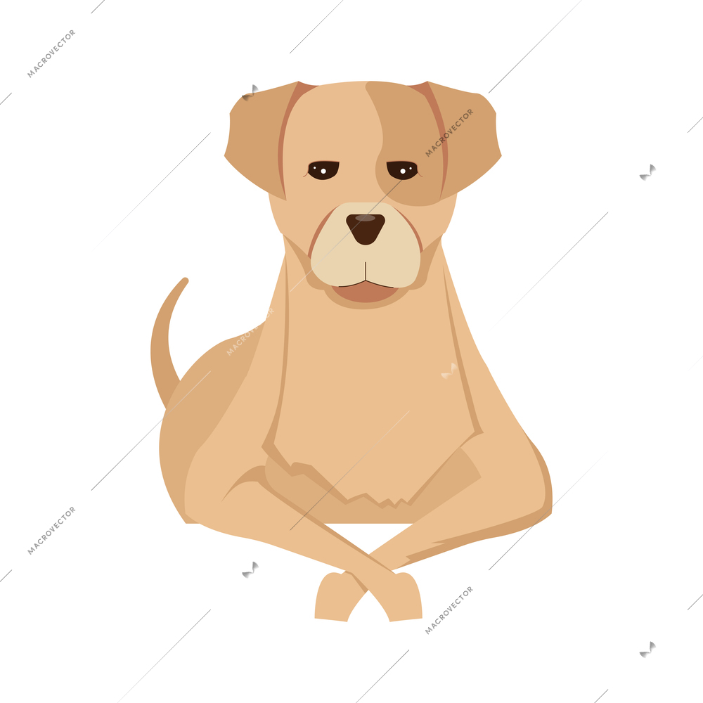 Cute brown dog with sad eyes front view flat vector illustration