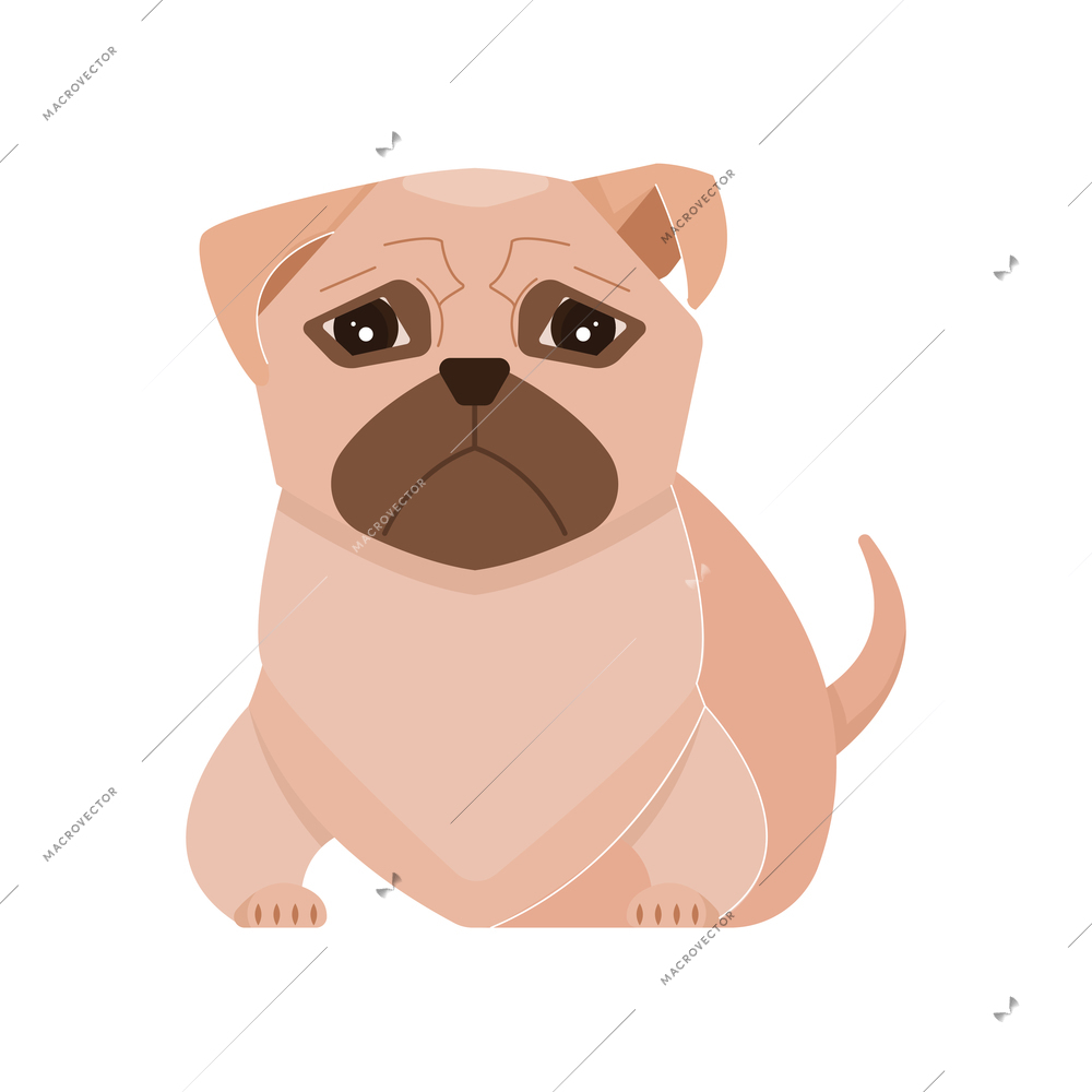 Cute sad pugdog on white background flat vector illustration