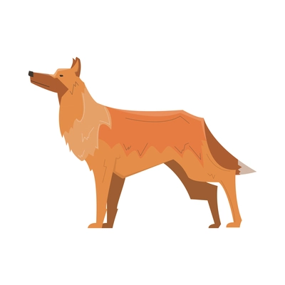 Flat long hair dog side view vector illustration