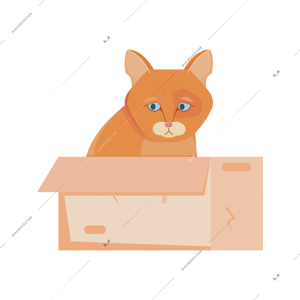 Sad homeless orange cat sitting in cardboard box flat vector illustration