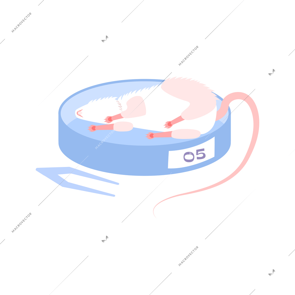 Animal testing flat icon with dead laboratory mouse vector illustration