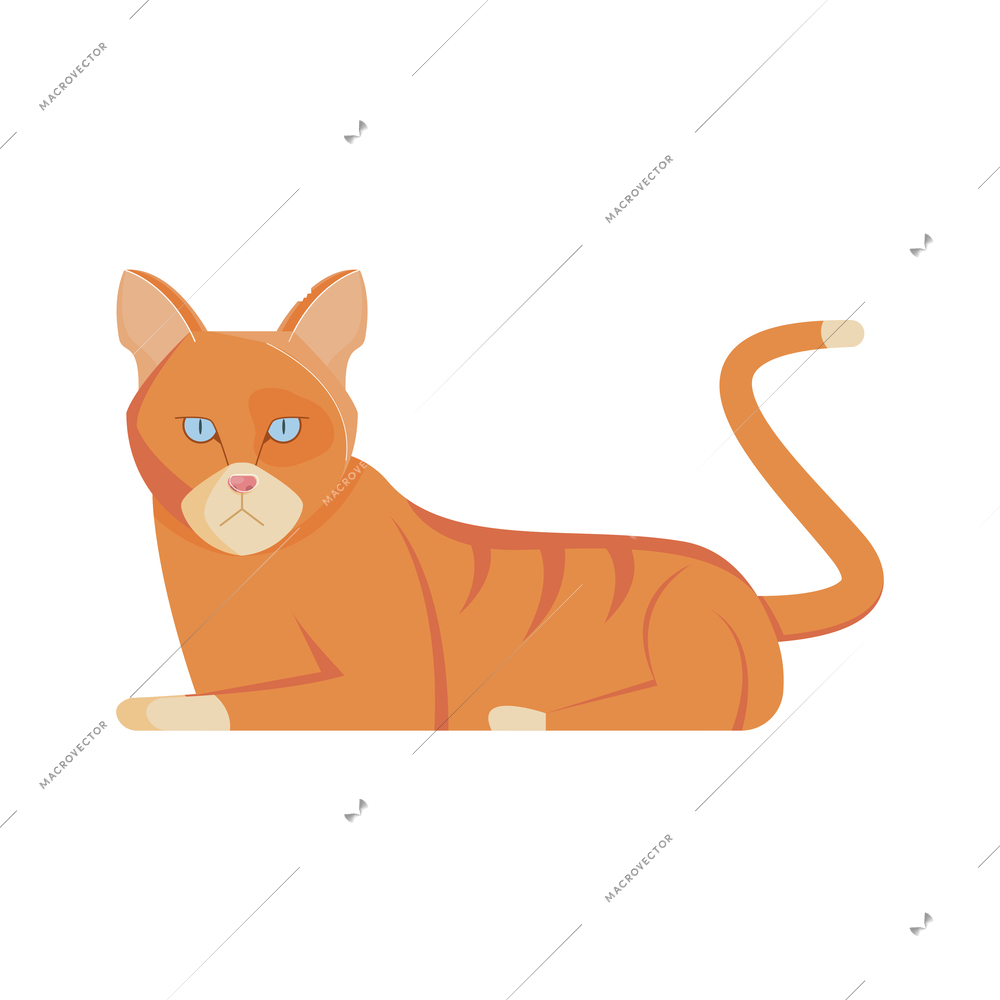 Flat lying orange cat with blue eyes vector illustration