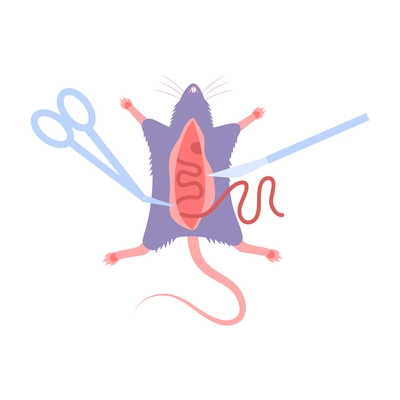 Animal testing icon with medical tools and rat being operated flat vector illustration