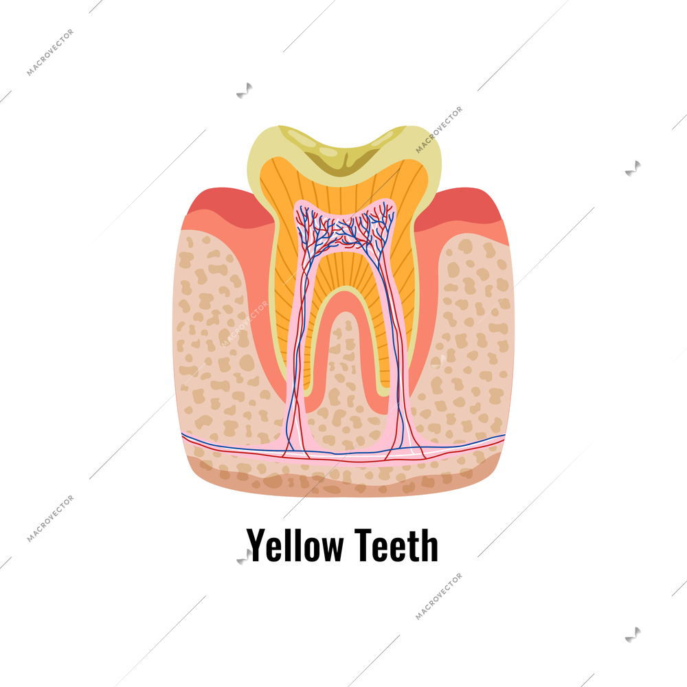 Dental oral problems poster with yellow tooth anatomy flat vector illustration