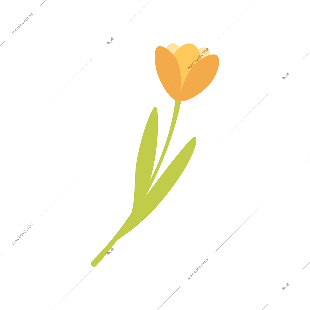 Cartoon orange tulip with green stalk vector illustration